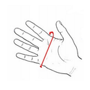 Rękawiczki skórzane damskie - antybakteryjne - czarne - Semi Line