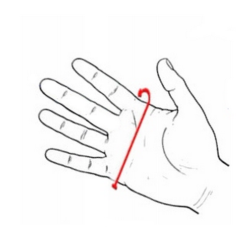 Rękawiczki skórzane męskie - antybakteryjne - czarne - Semi Line